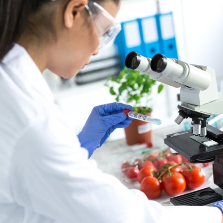 Vitamine und Mineralstoffe in Lebensmitteln aus der Dose: Lebensmittelinstitut untersucht Tomaten, grune Bohnen und Ananas